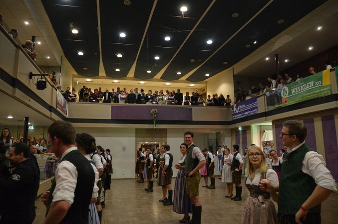 Bezirksbauernball Teil 2