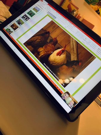 Adventprogramm Region Murtal