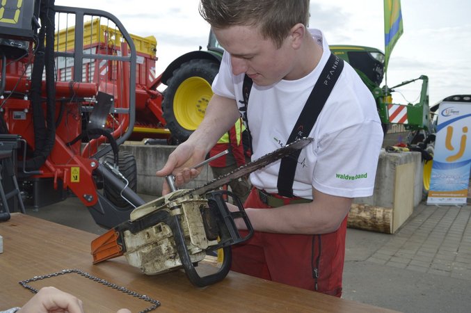 Forstwettbewerb 2017