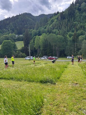 Bezirksentscheid Sensenmaehen und Seilziehen 2026